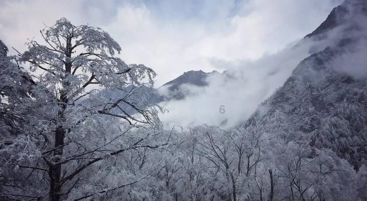 今日大寒| 严冬岁末,腊尽春回